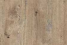 Hemlock