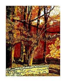 Im Stadtpark an der Mauer