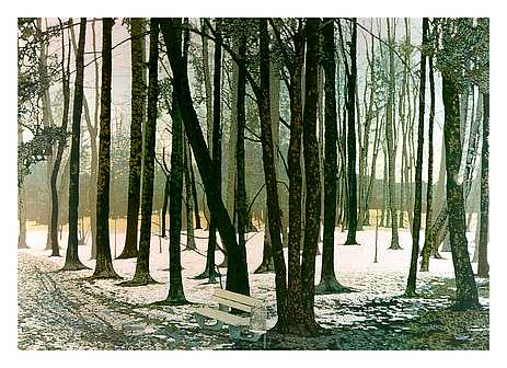 Erster Schnee