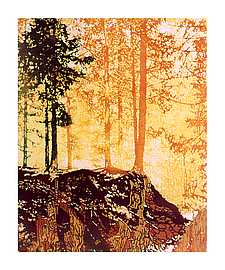 Feuerwald
