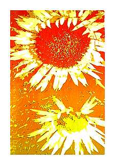 Florales III
