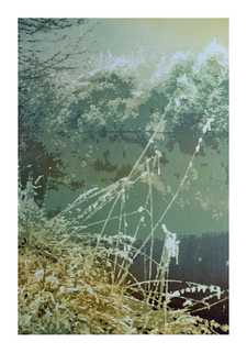 Ereignis des Auges