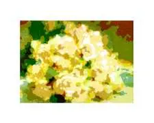 Ohne Titel