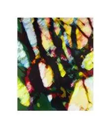 Getränkt in Farbe
