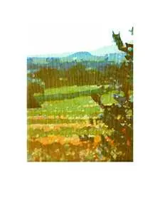 Toskana im Herbst