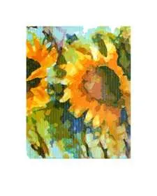 Blume der Sonne
