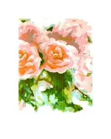 Rosentraum