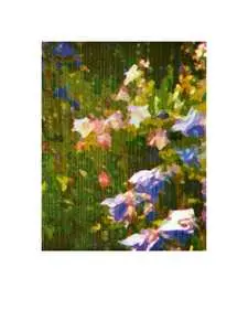Wildblumen