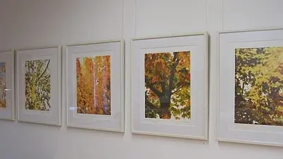 Seelenwärmer im trüben Herbst